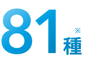 81種※