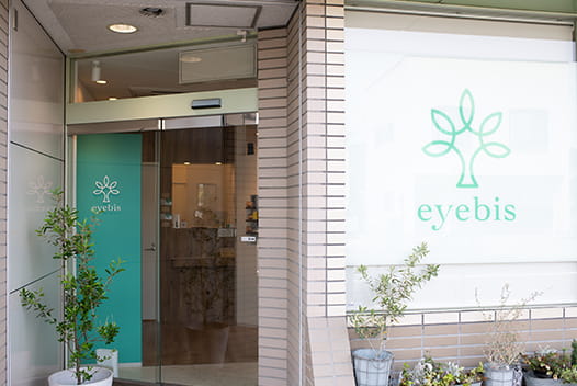 eyebis
