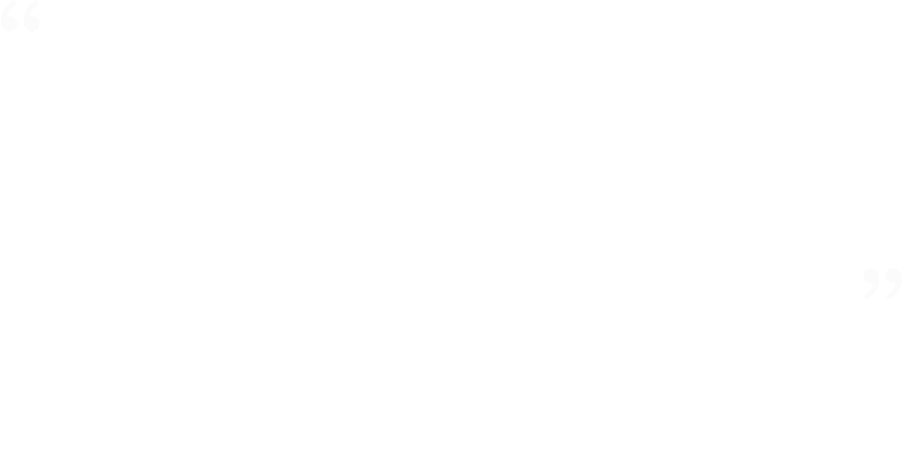 導入事例