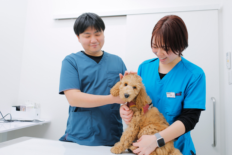 青葉どうぶつ医療センター様の導入事例-(3)