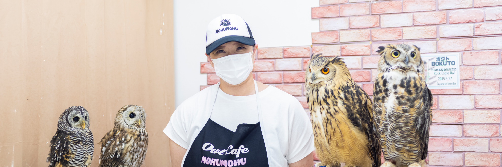 フクロウカフェ もふもふ新宿店様の導入事例-(1)