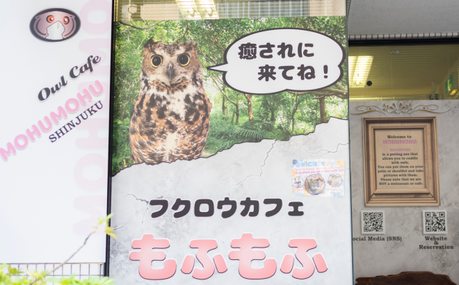 フクロウカフェ もふもふ新宿店様の導入事例-(5)