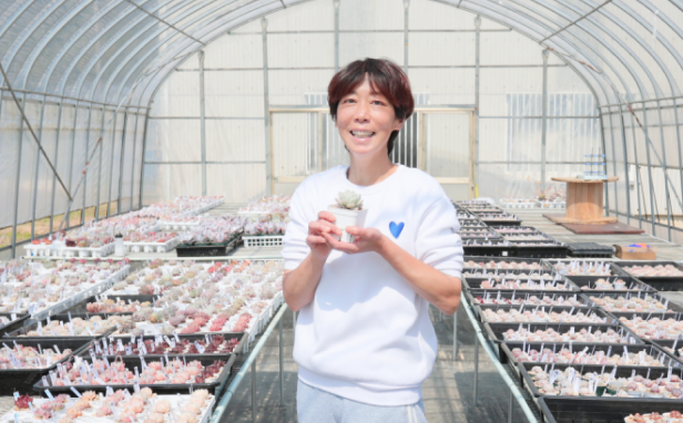 糸島多肉Lab