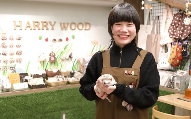 ハリネズミ専門カフェ HARRY WOOD
