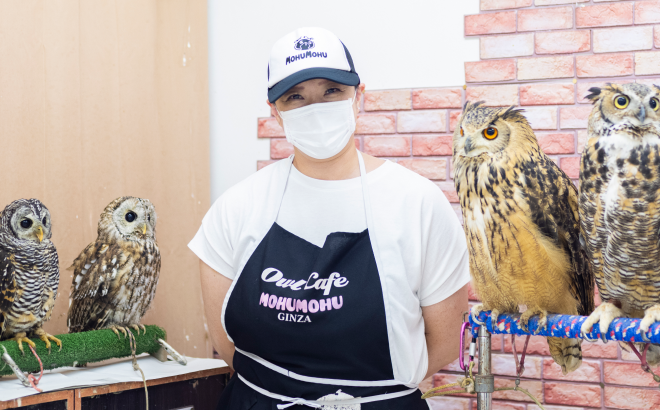 フクロウカフェ もふもふ新宿店