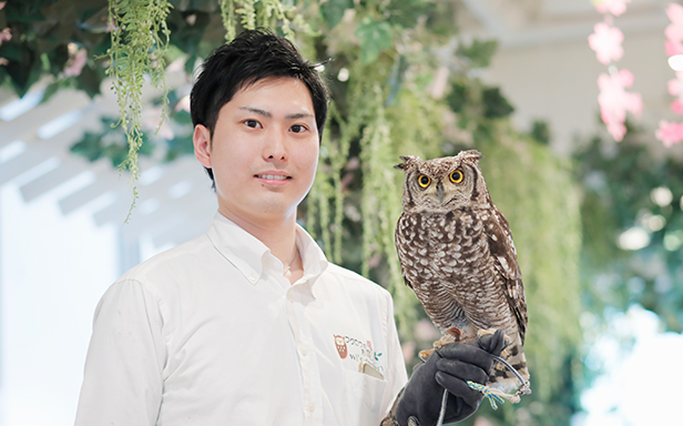 フクロウのお庭 owl’s garden