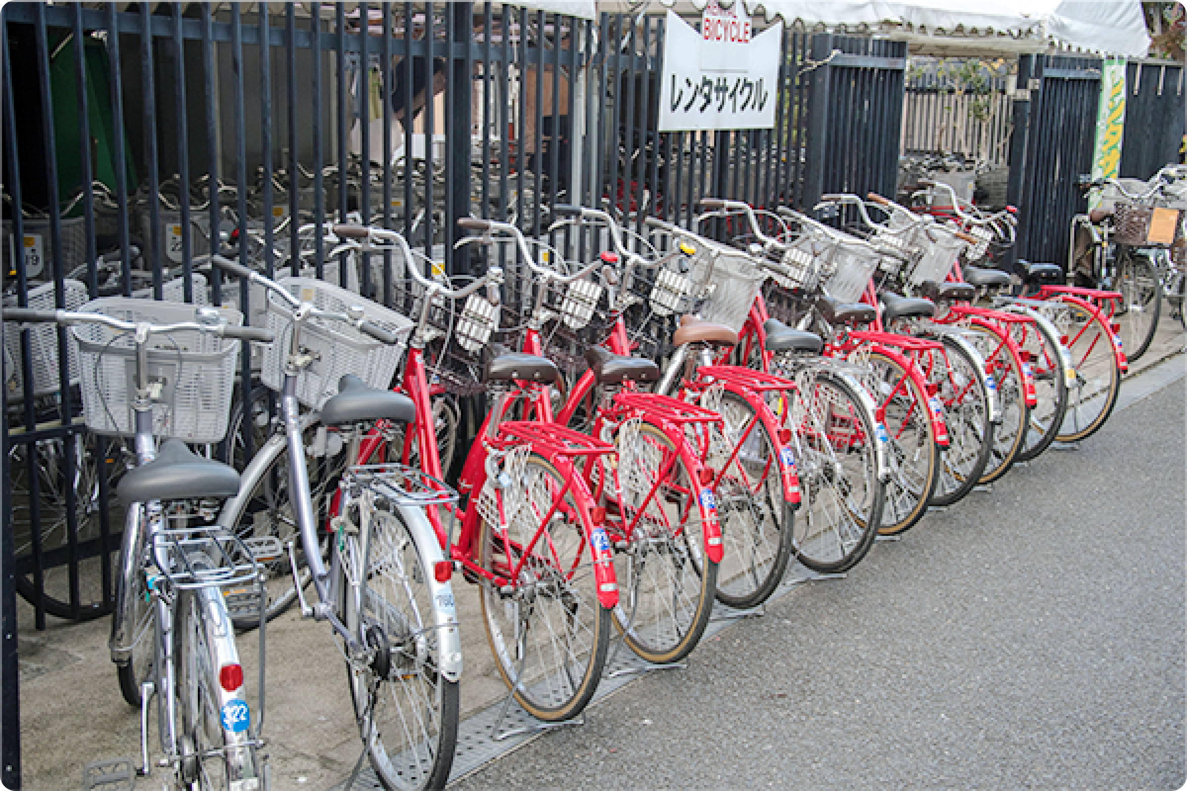 181_レンタサイクル