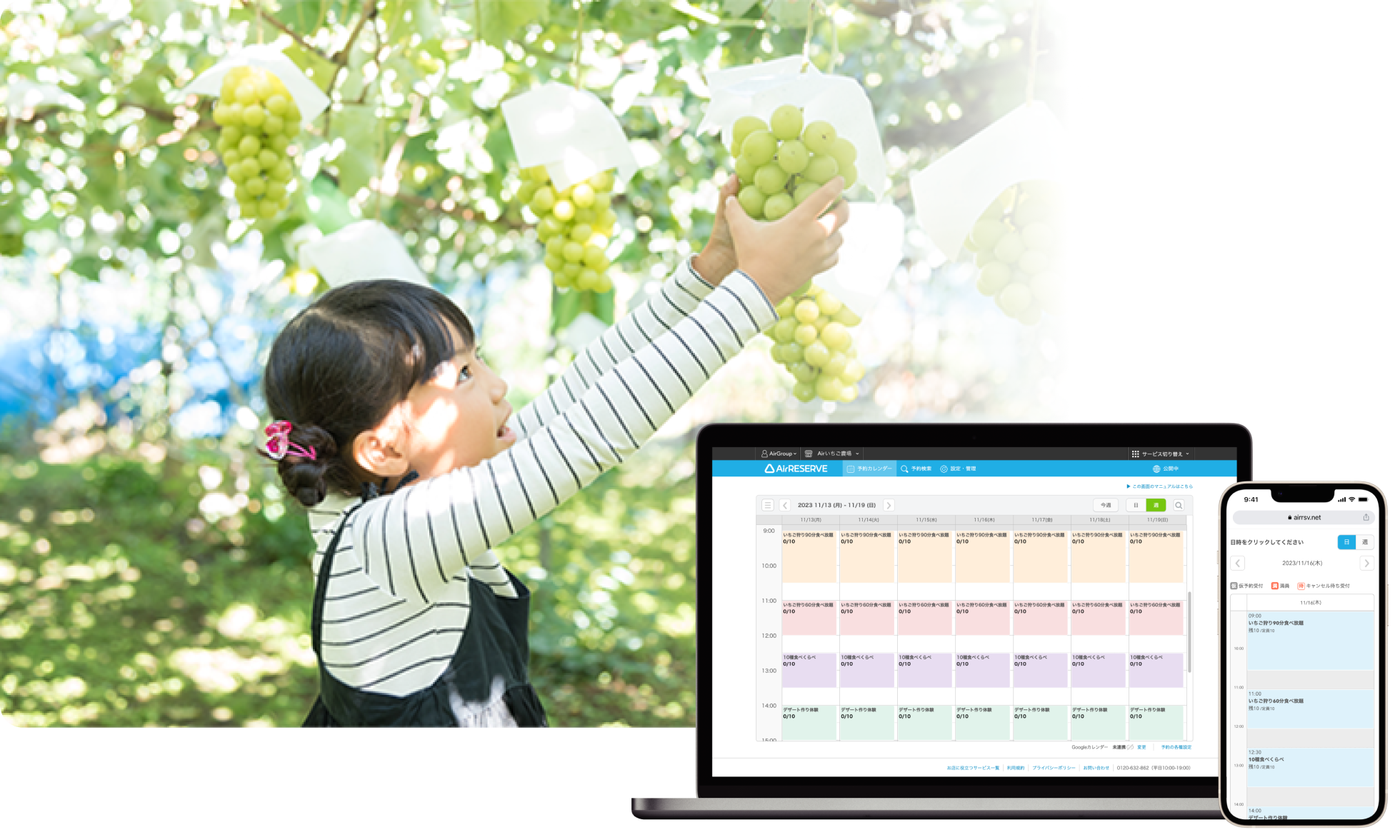 ぶどう狩り・ぶどう農園