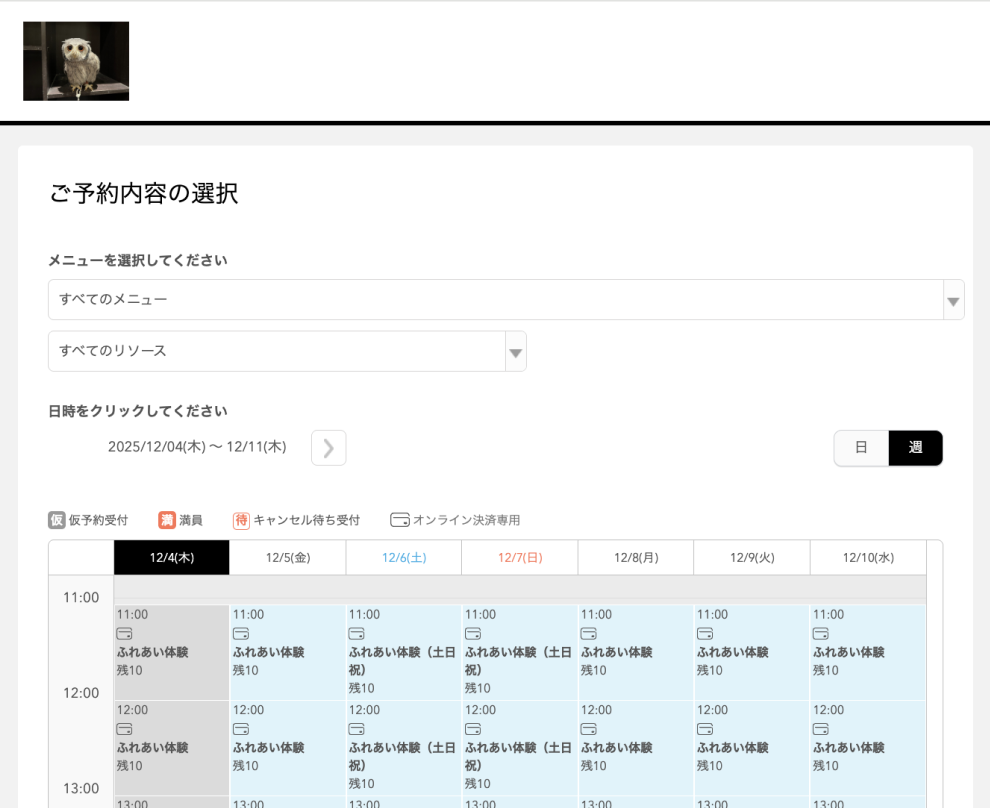 フクロウカフェ もふもふ新宿店様の導入事例