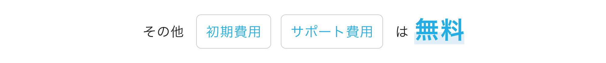 その他「初期費用」「サポート費用」は無料