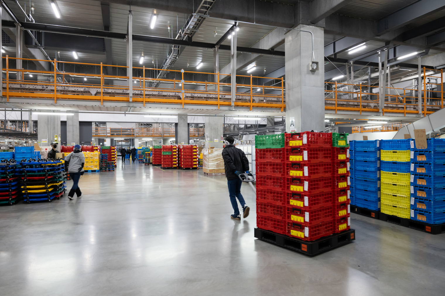 ピッキングチームの画像